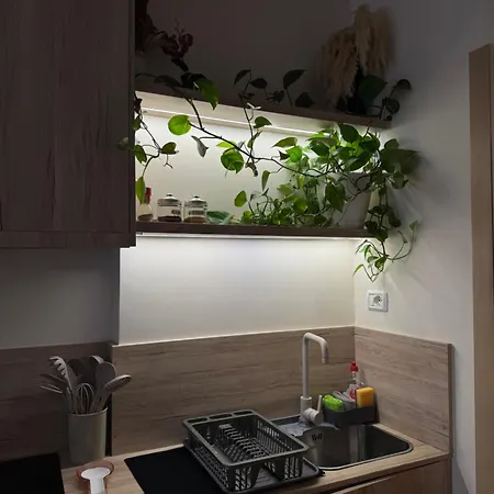 Vlora Studio Vlore